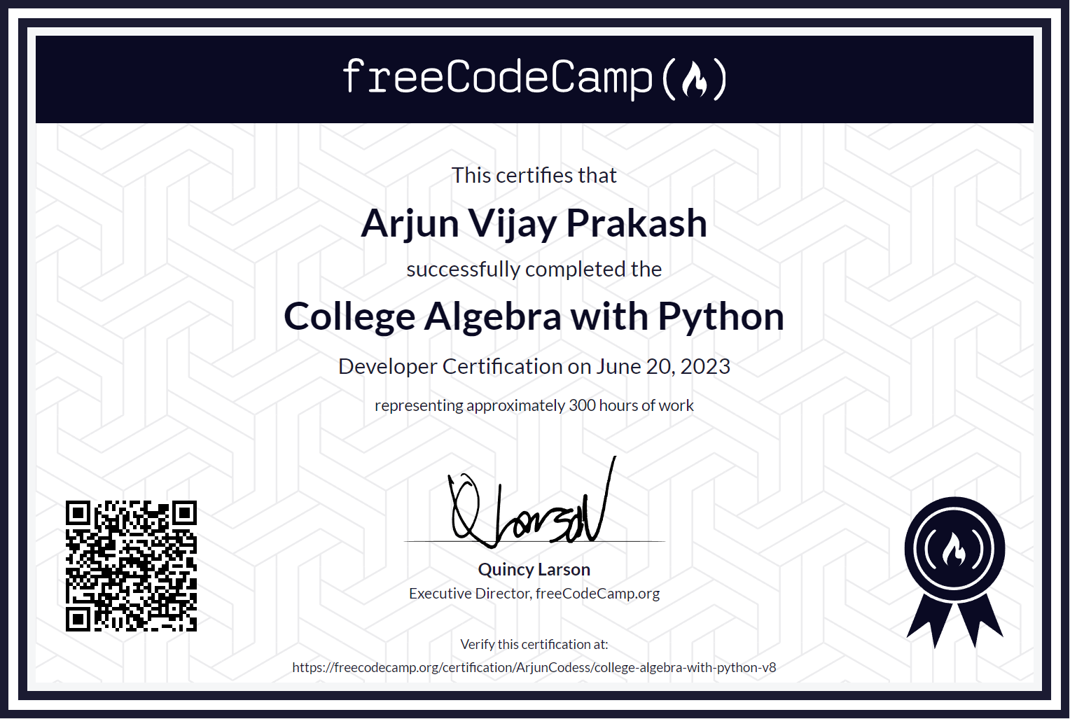 freeCodeCamp Professional Certificate 2